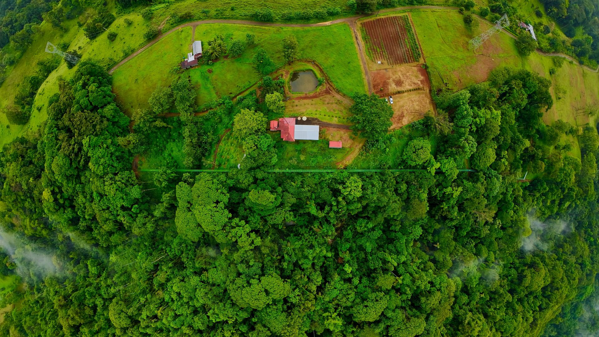 Kapok property